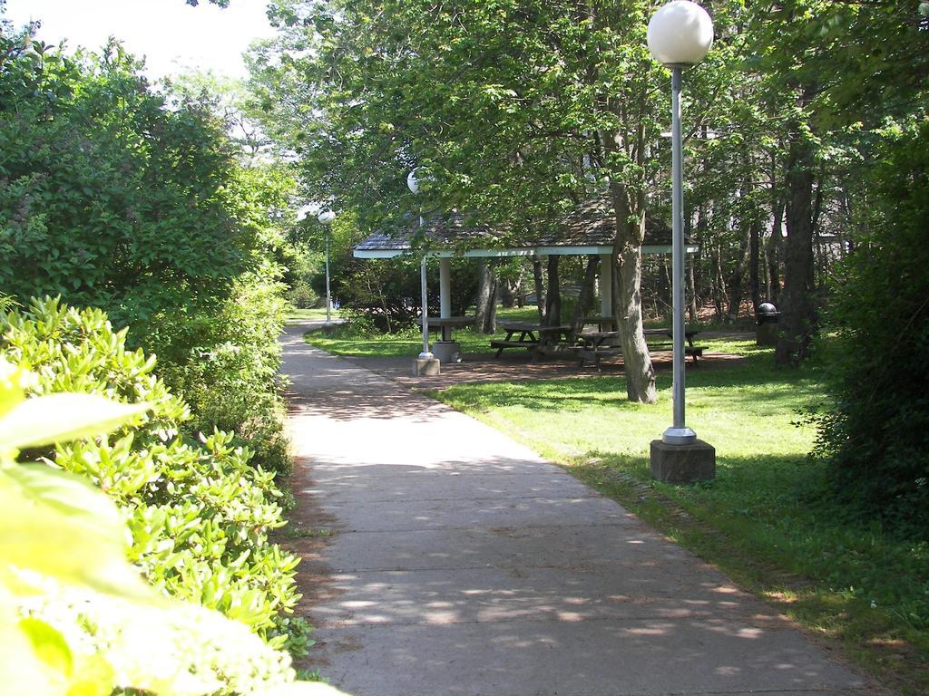 Mount Saint Vincent University 핼리팩스 외부 사진