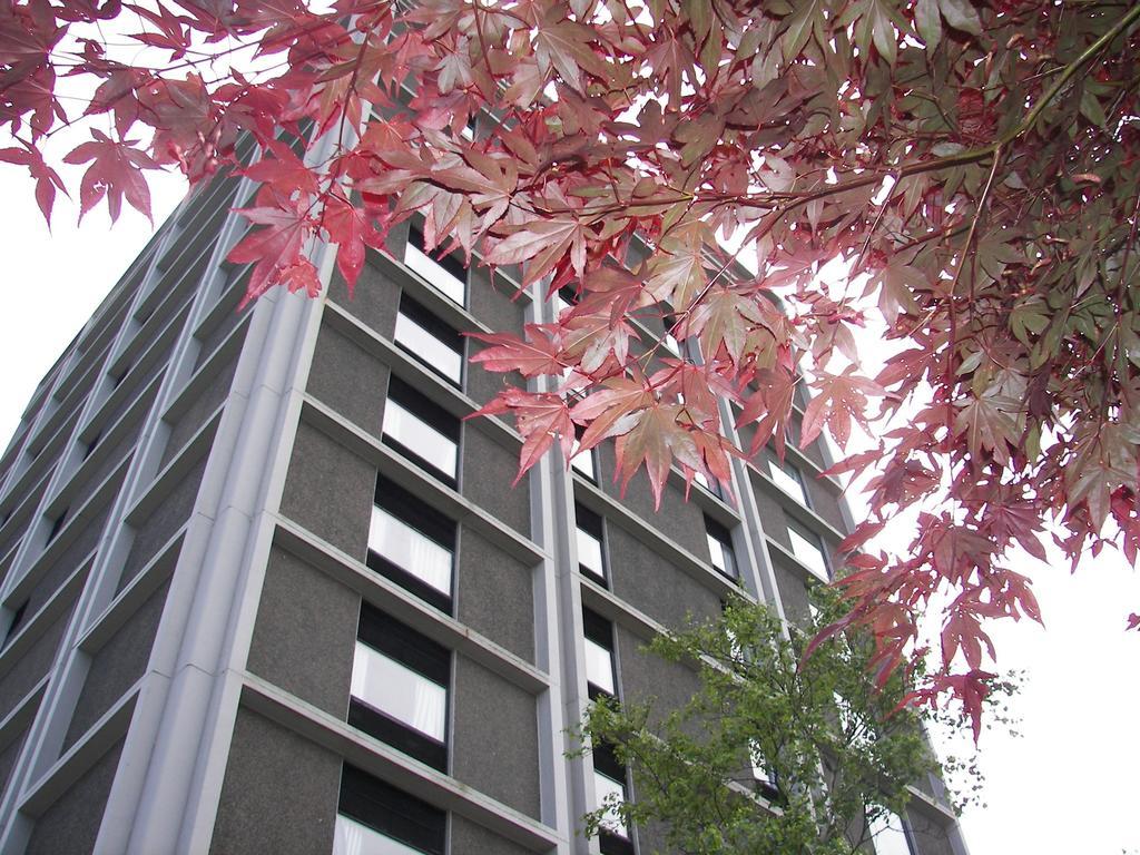 Mount Saint Vincent University 핼리팩스 객실 사진